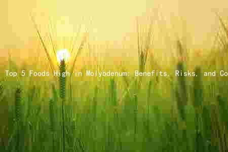 Top 5 Foods High in Molybdenum: Benefits, Risks, and Comparison to Other Sources