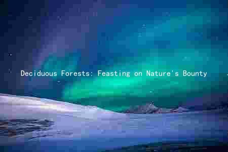 Deciduous Forests: Feasting on Nature's Bounty