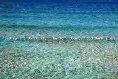 Feeding the Community: The York County Food Bank's Mission, Impact, and Challenges