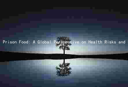 Prison Food: A Global Perspective on Health Risks and Potential Solutions