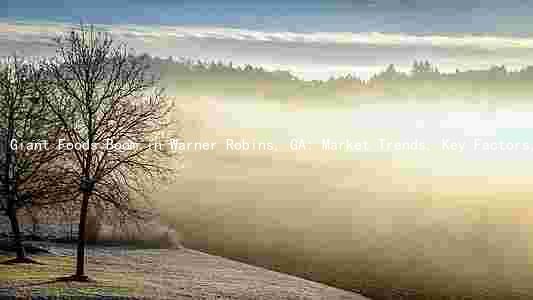 Giant Foods Boom in Warner Robins, GA: Market Trends, Key Factors, Major Players, and Challenges