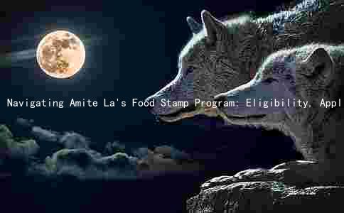 Navigating Amite La's Food Stamp Program: Eligibility, Application, Benefits, Work Requirements, and Time Limits